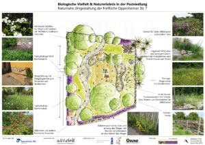 Read more about the article Neues Postsiedlungs-Biotop eingeweiht!