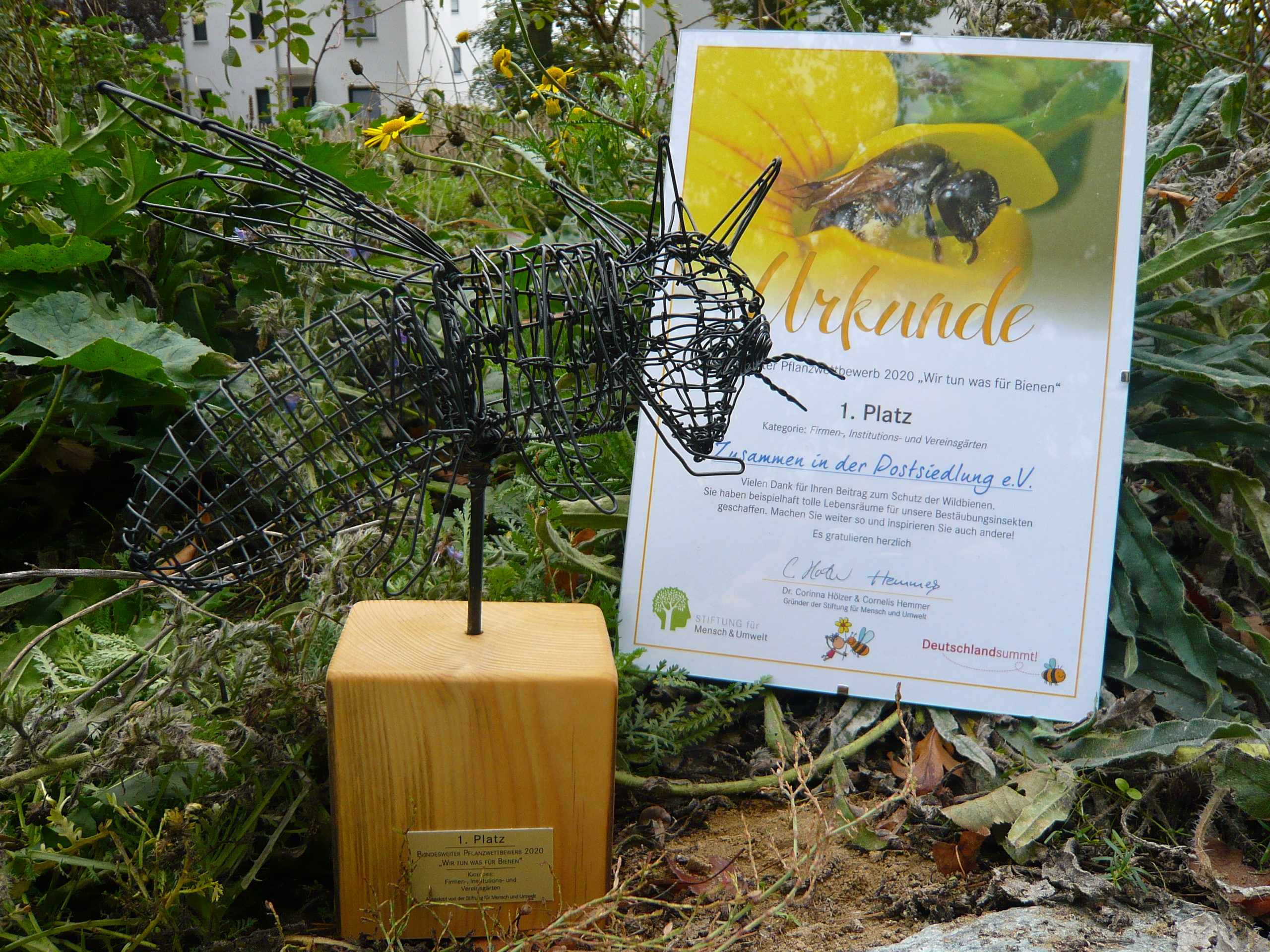 You are currently viewing Biotop: Herzlichen Glückwunsch an die Gewinner des diesjährigen „Wir tun was für Bienen“ – Wettbewerb – wir waren in der Jury dabei!