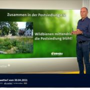 Biotop: GENAU-Umweltlotterie prämiert unsere Arbeit mit 5000,- Euro + Bericht im Hessenfernsehen!