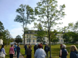 Read more about the article Akaziengarten: Schöner und informativer Rundgang zum Baum des Jahres 2020 – die Robinie