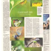 Biotop: Ganzseitige Zeitungsseite im Darmstädter Echo zeigt unsere Fotos seltener Arten