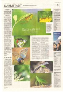 Read more about the article Biotop: Ganzseitige Zeitungsseite im Darmstädter Echo zeigt unsere Fotos seltener Arten