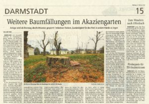 Read more about the article Akaziengarten: Darmstädter Echo berichtet über neue Baumrodungen und unseren Vorschlag zur Parkpflege