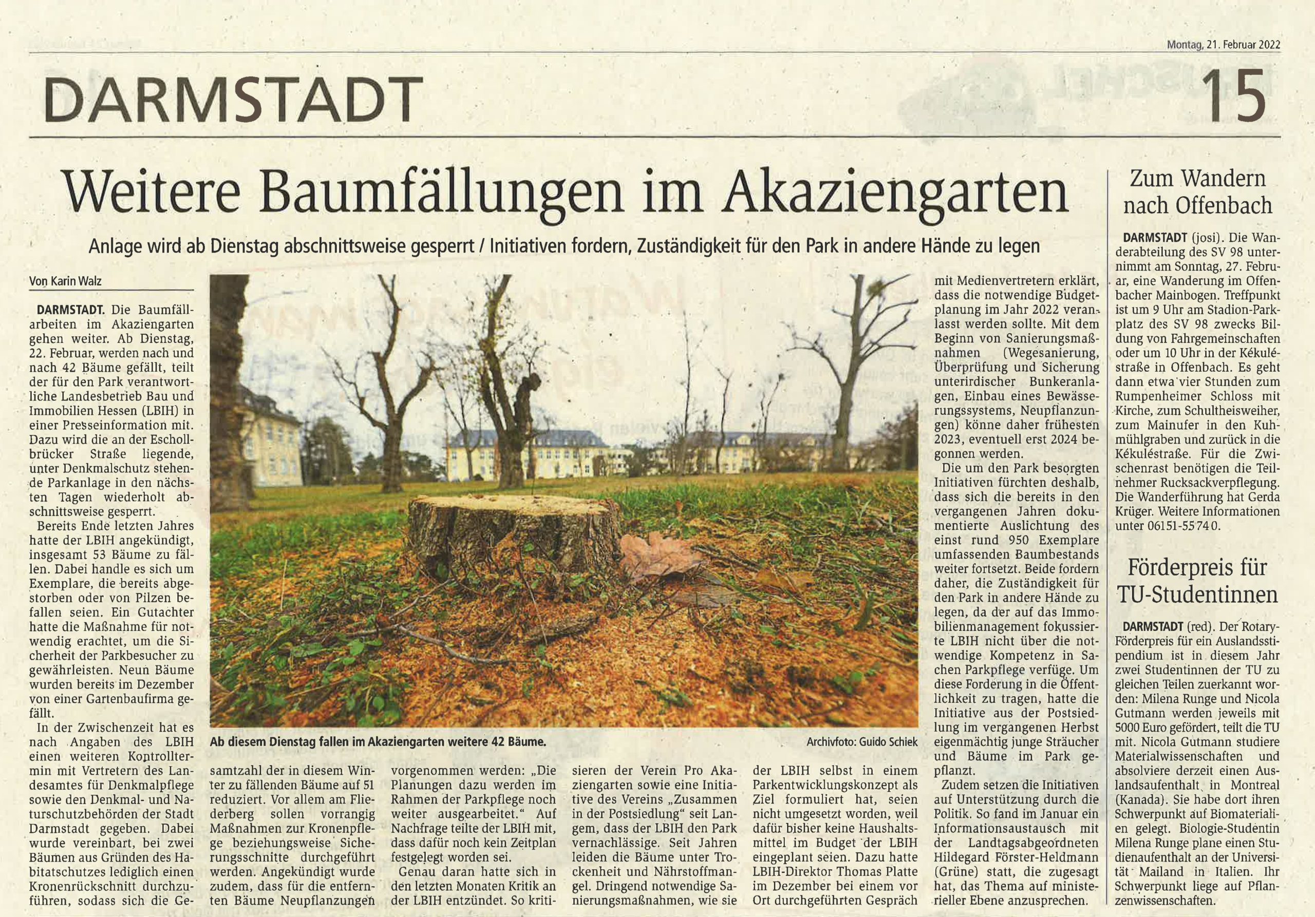 Read more about the article Akaziengarten: Darmstädter Echo berichtet über neue Baumrodungen und unseren Vorschlag zur Parkpflege