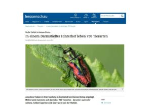 Read more about the article Biotop: Hessenschau.de des Hessischen Rundfunks veröffentlicht große Story über uns!