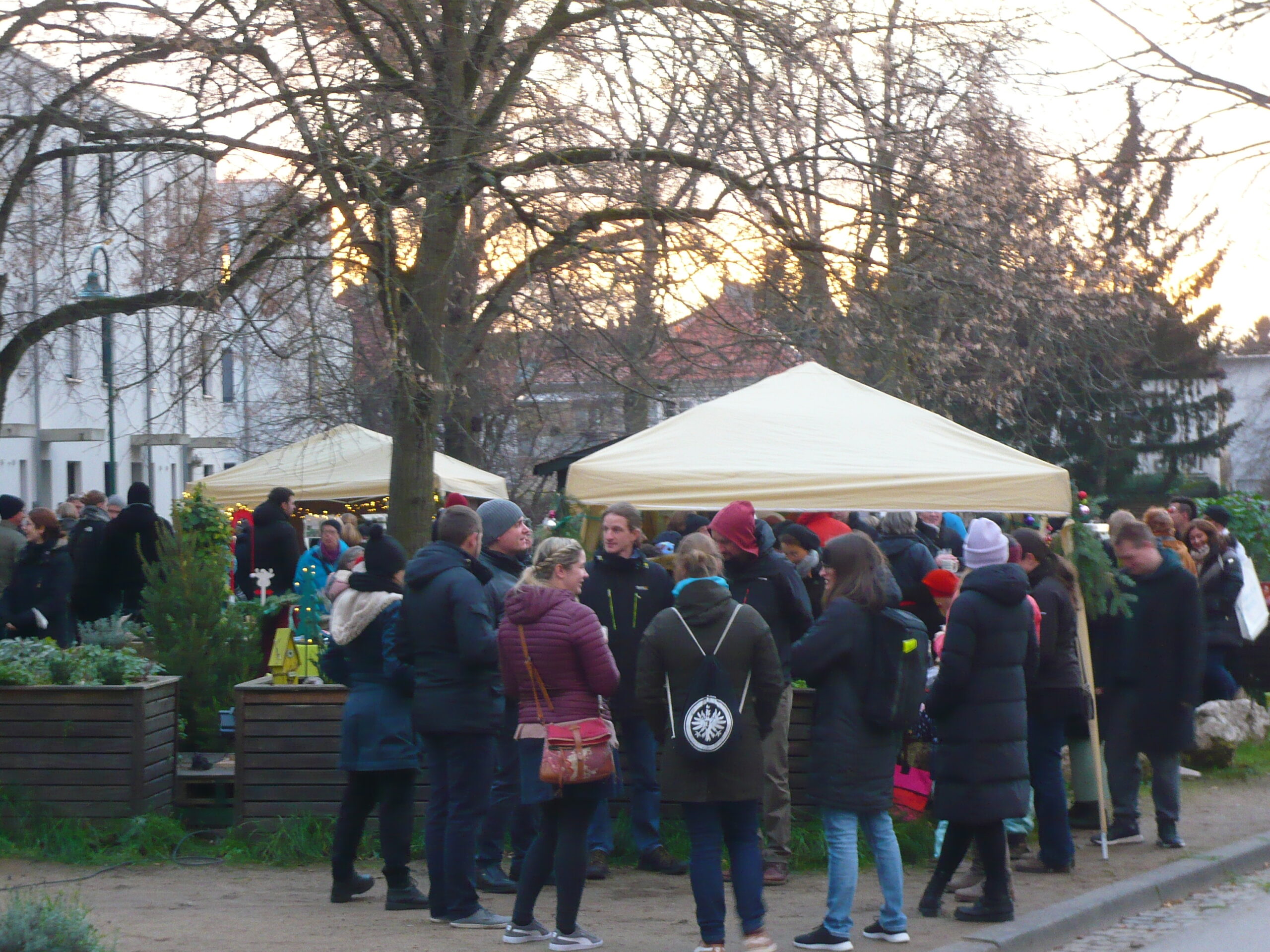 Read more about the article Quartier: Über 400 NachbarInnen beim Weihnachtsmarkt auf dem Quartierplatz!
