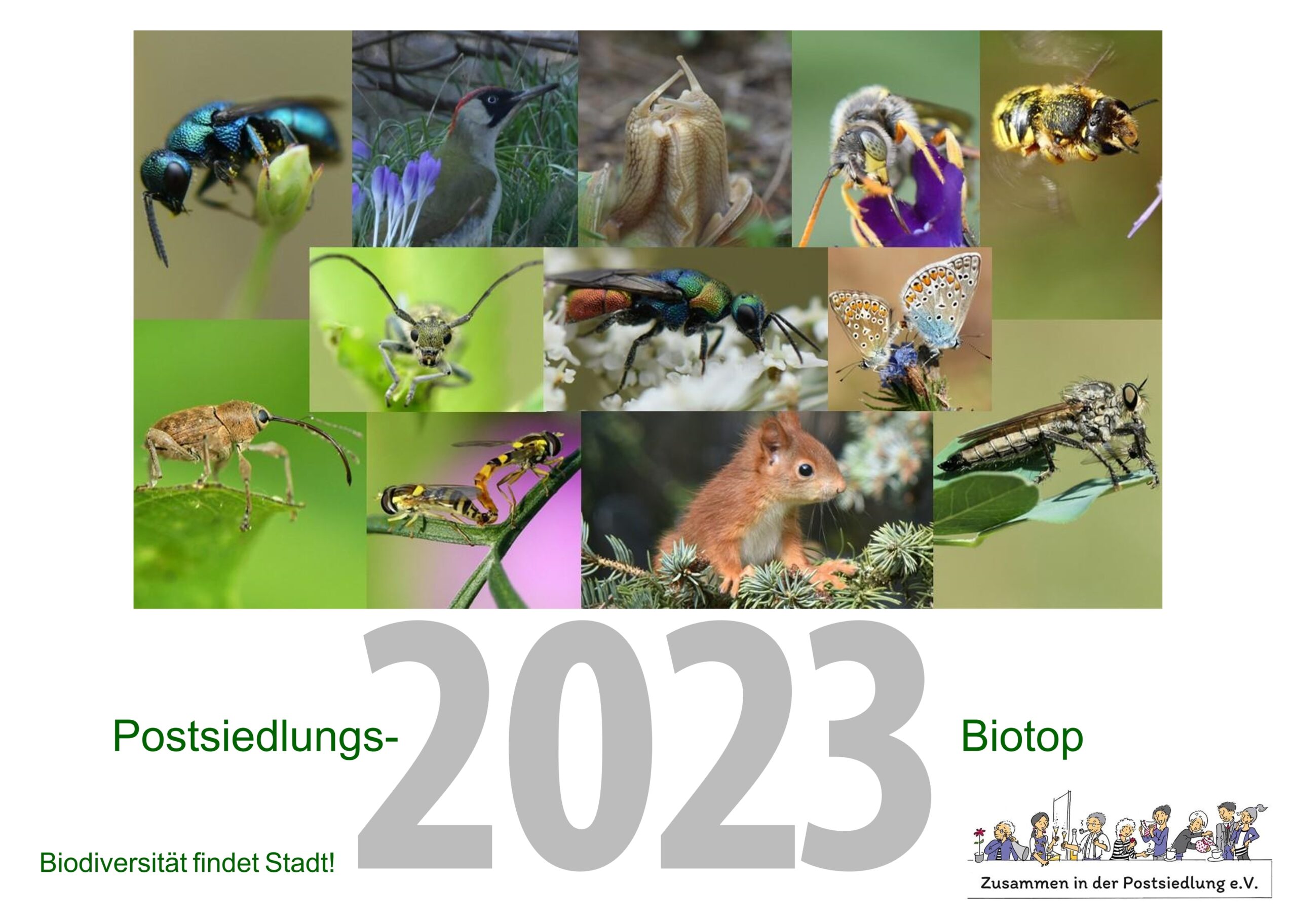 Read more about the article Biotop: Wählt Euer Lieblingsfoto 2022 – Der letzte Biotop-Kalender für 2023 und Euer Lieblingsfoto zu gewinnen!