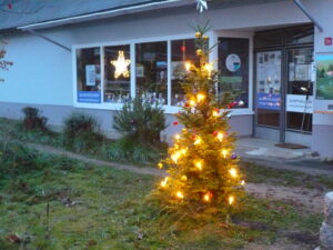 Read more about the article Quartier: Schöner weihnachtlicher Schmuck zum 1.Advent…