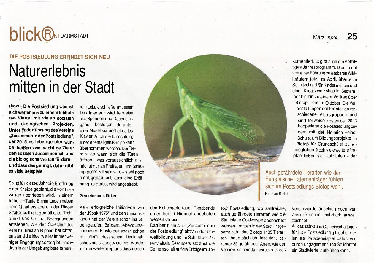 Read more about the article Quartier: Toller Artikel in Zeitung „Blickpunkt Darmstadt“ über unsere Vereinsarbeit…