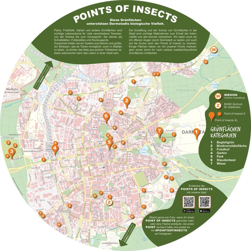 Read more about the article Biotop: Darmstädter Echo berichtet über neue „Point of Insects“ in der Stadt…